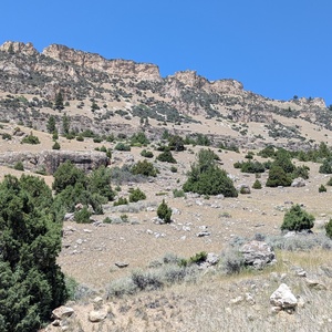 PXL_20260720_191248429.jpg